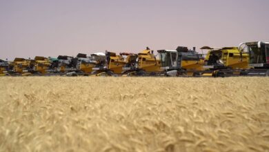 حملة الحصاد والدرس