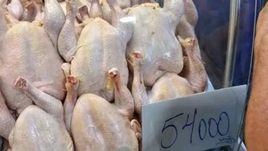 أسعار اللحوم البيضاء