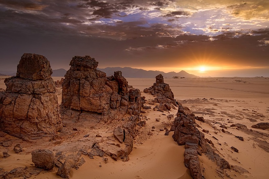 طاسيلي ناجر
