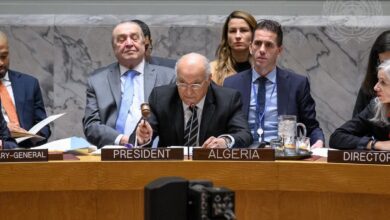 أحمد عطاف مجلس الأمن