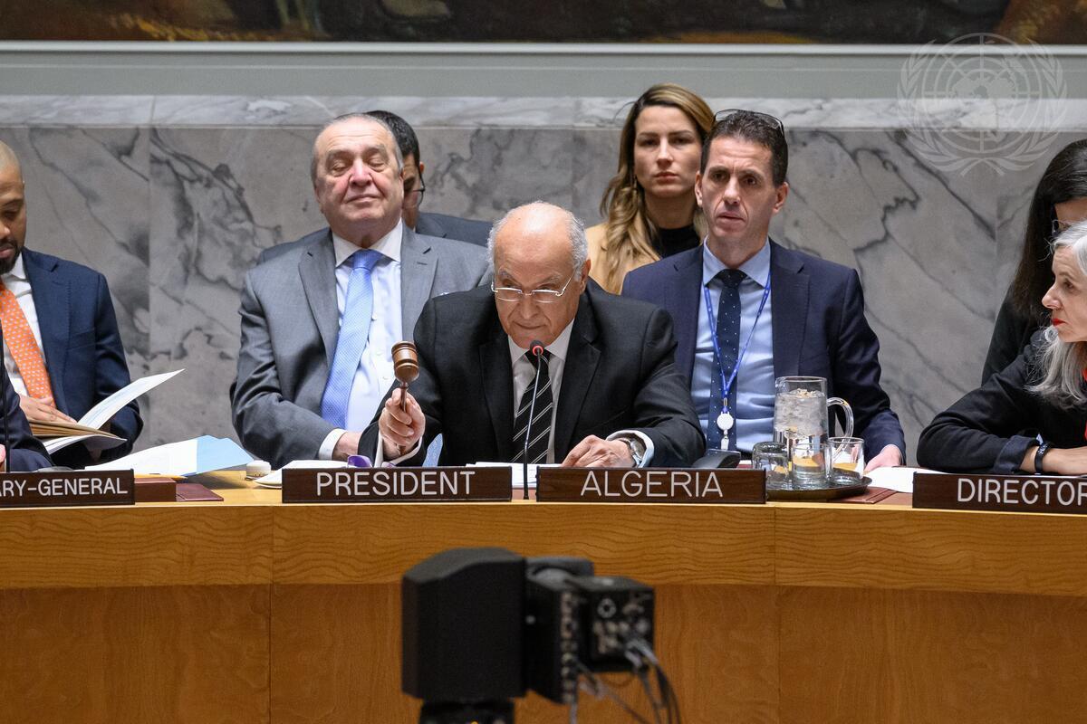 أحمد عطاف مجلس الأمن