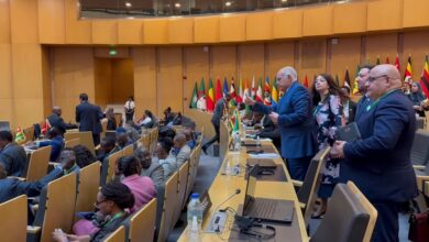 وزير الخارجية أحمد عطاف