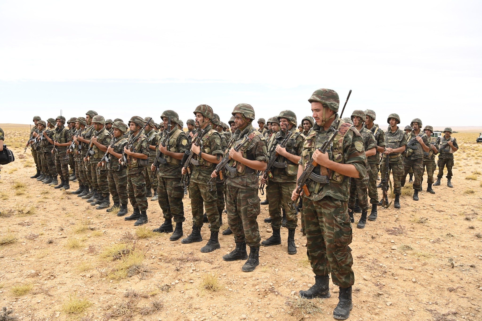 الجيش شنقريحة تبسة