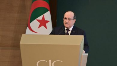 الوزير الأول سيفي غريب