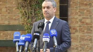 وزارة التربية الوطنية، محمد صغير سعداوي