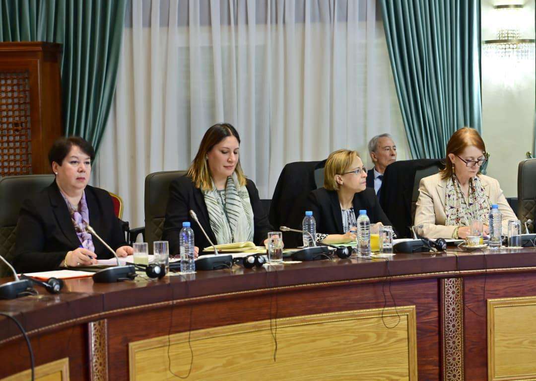 الوزير الأول سيفي غريب اجتماع الحكومة