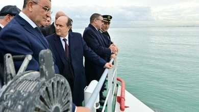 الوزير الأول، سيفي غريب عنابة