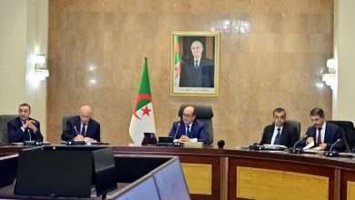 الوزير الأول سيفي غريب اجتماع الحكومة