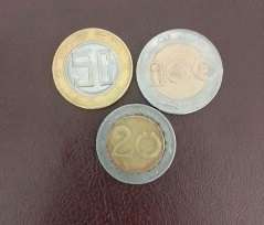 زكاة الفطر الدينار