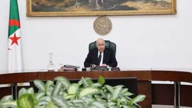 مجلس الوزراء عبد المجيد تبون