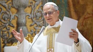 بابا الفاتيكان ليو الرابع عشر