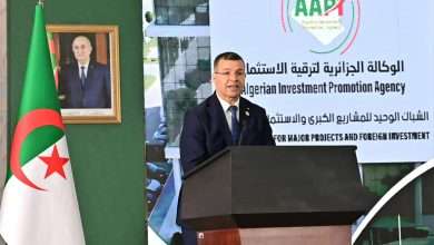 الوكالة الجزائرية لترقية الاستثمار عمر ركاش