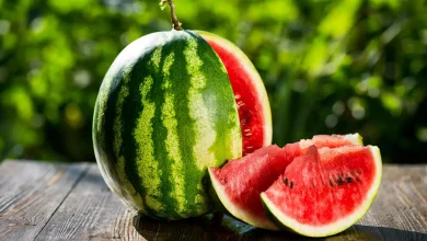 البطيخ الأحمر الدلاع