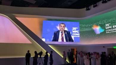 وزير المحروقات، محمد عرقاب